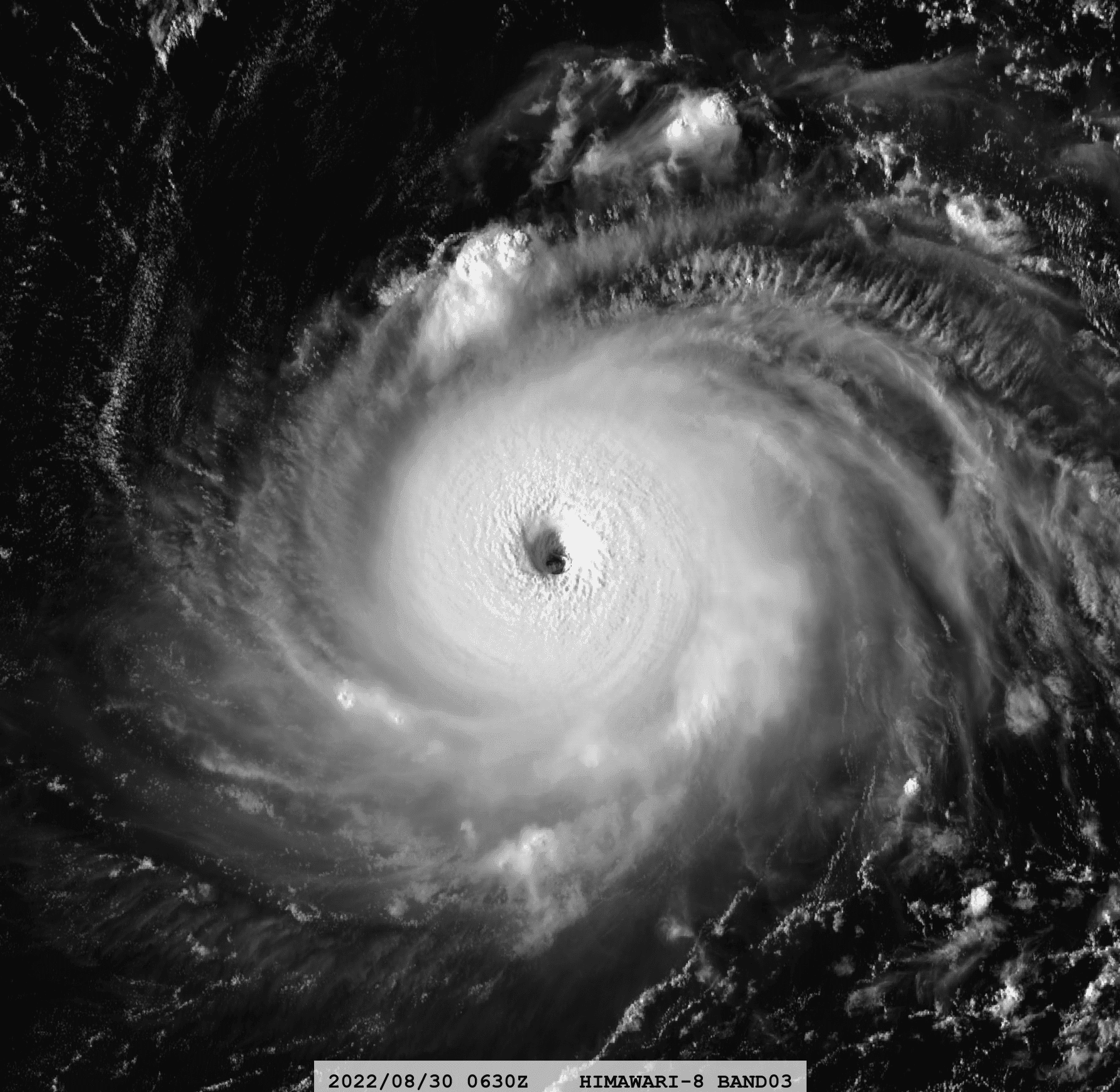 Τυφώνας Hinnamnor