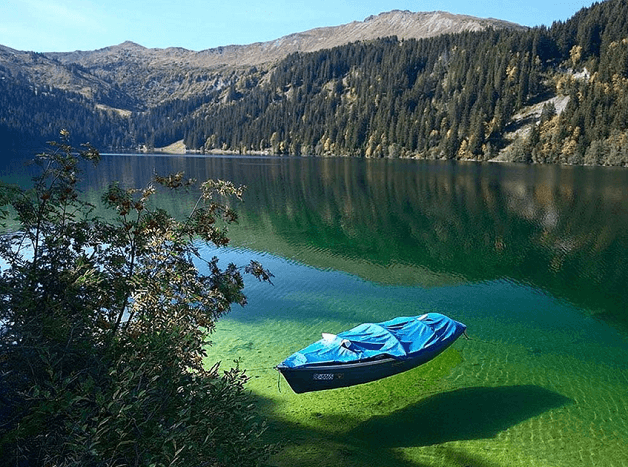 Blue Lake New Zealand crystal clear water 80 meters visibility nature lake