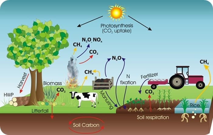 Κύκλος του άνθρακα