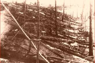 tunguska explosion 1908 flattened forest siberia