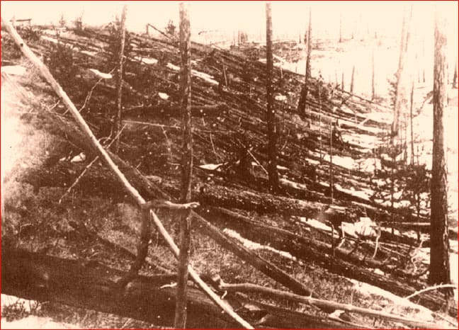 tunguska explosion 1908 flattened forest siberia