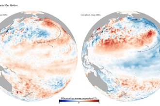 PDO phases