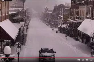 deadwood