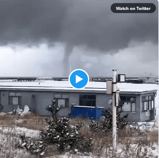 Χιονοστρόβιλος