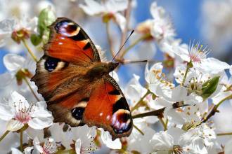 ιστορικά γεγονότα μήνα Μαρτίου