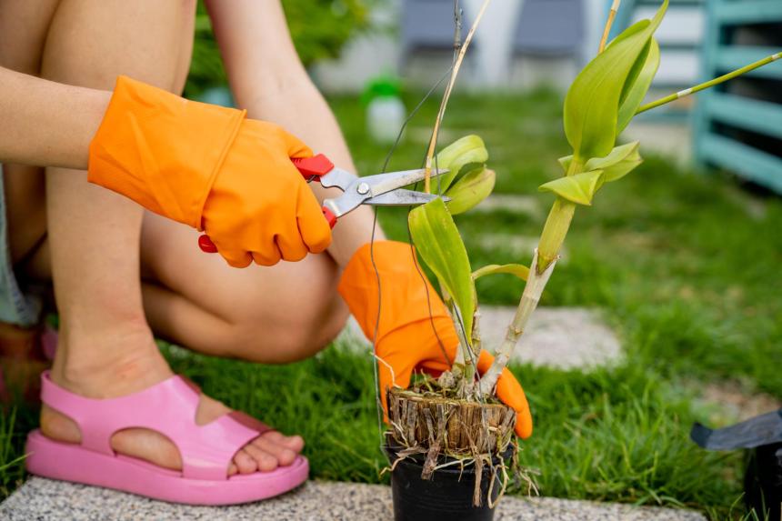 εργασίες κήπου τον Απρίλιο με φύτευση και φροντίδα φυτών σε ανοιξιάτικο περιβάλλον