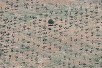 ξηρασία Ευρώπη