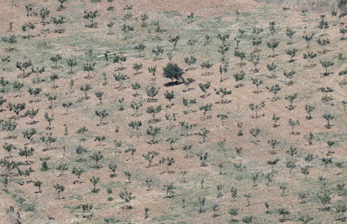 ξηρασία Ευρώπη