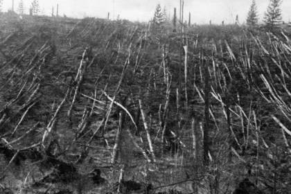 Tunguska explosion 1908 Siberia forest flattened airburst impact