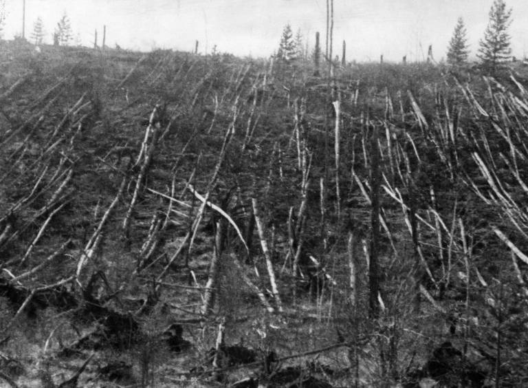 Tunguska explosion 1908 Siberia forest flattened airburst impact