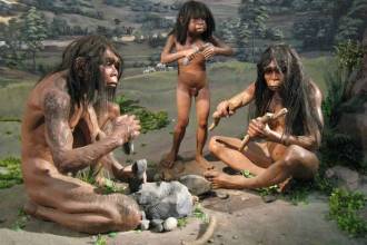 Homo_erectus