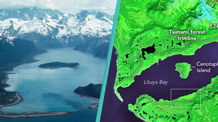 Lituya Bay Alaska mega tsunami 1958 forest destruction visible from space satellite view