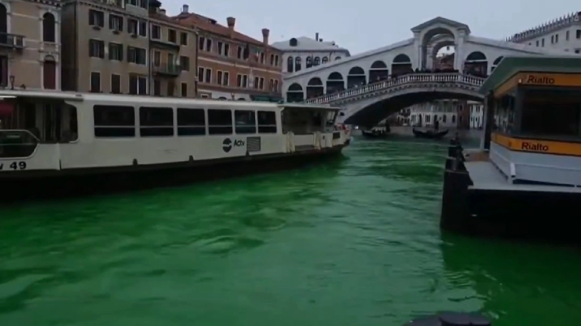 venetia-prasina-nera