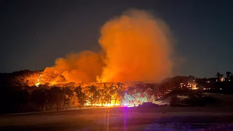 wildfire