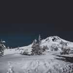 Government Camp Live Webcam