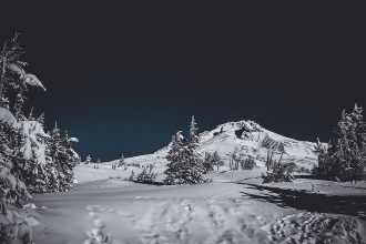 Government Camp Live Webcam