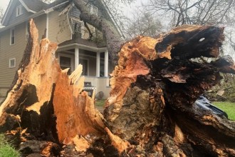 Michigan Tornado Outbreak: 8 Tornadoes Confirmed, Including EF1 in Ann Arbor