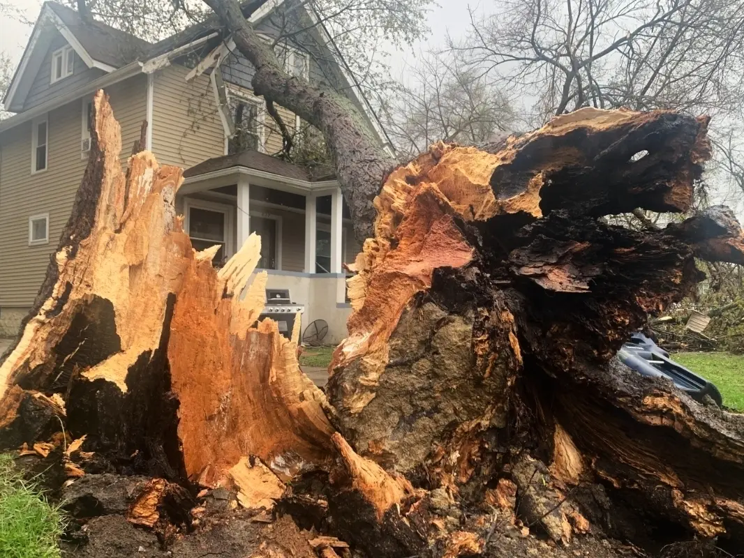 Michigan Tornado Outbreak: 8 Tornadoes Confirmed, Including EF1 in Ann Arbor