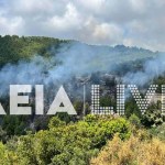 Πυροσβεστικές δυνάμεις επιχειρούν σε δασική πυρκαγιά στην Ηλεία με επίγεια και εναέρια μέσα