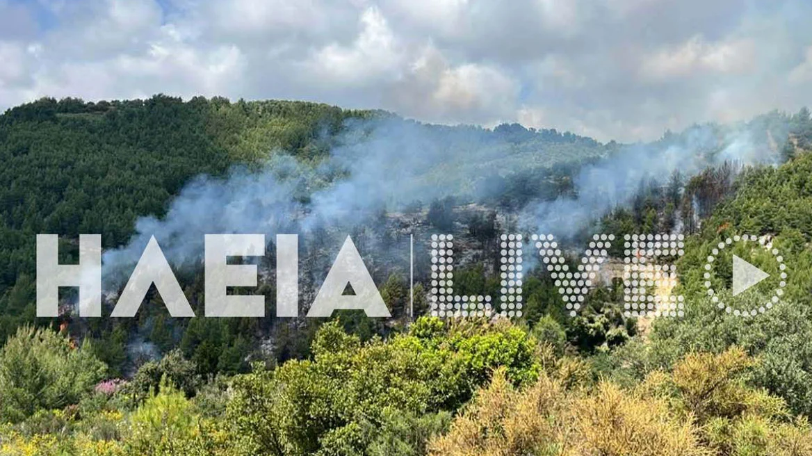 Πυροσβεστικές δυνάμεις επιχειρούν σε δασική πυρκαγιά στην Ηλεία με επίγεια και εναέρια μέσα