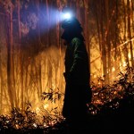 Japan Wildfires: Over 2,500 Evacuated as Fires Burn in Iwate Prefecture