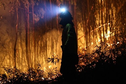 Japan Wildfires: Over 2,500 Evacuated as Fires Burn in Iwate Prefecture