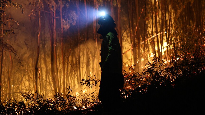 Japan Wildfires: Over 2,500 Evacuated as Fires Burn in Iwate Prefecture