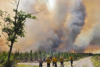 Georgia faces a growing wildfire disaster as drought-fueled fires destroy homes and force evacuations, with a state of emergency now in effect.